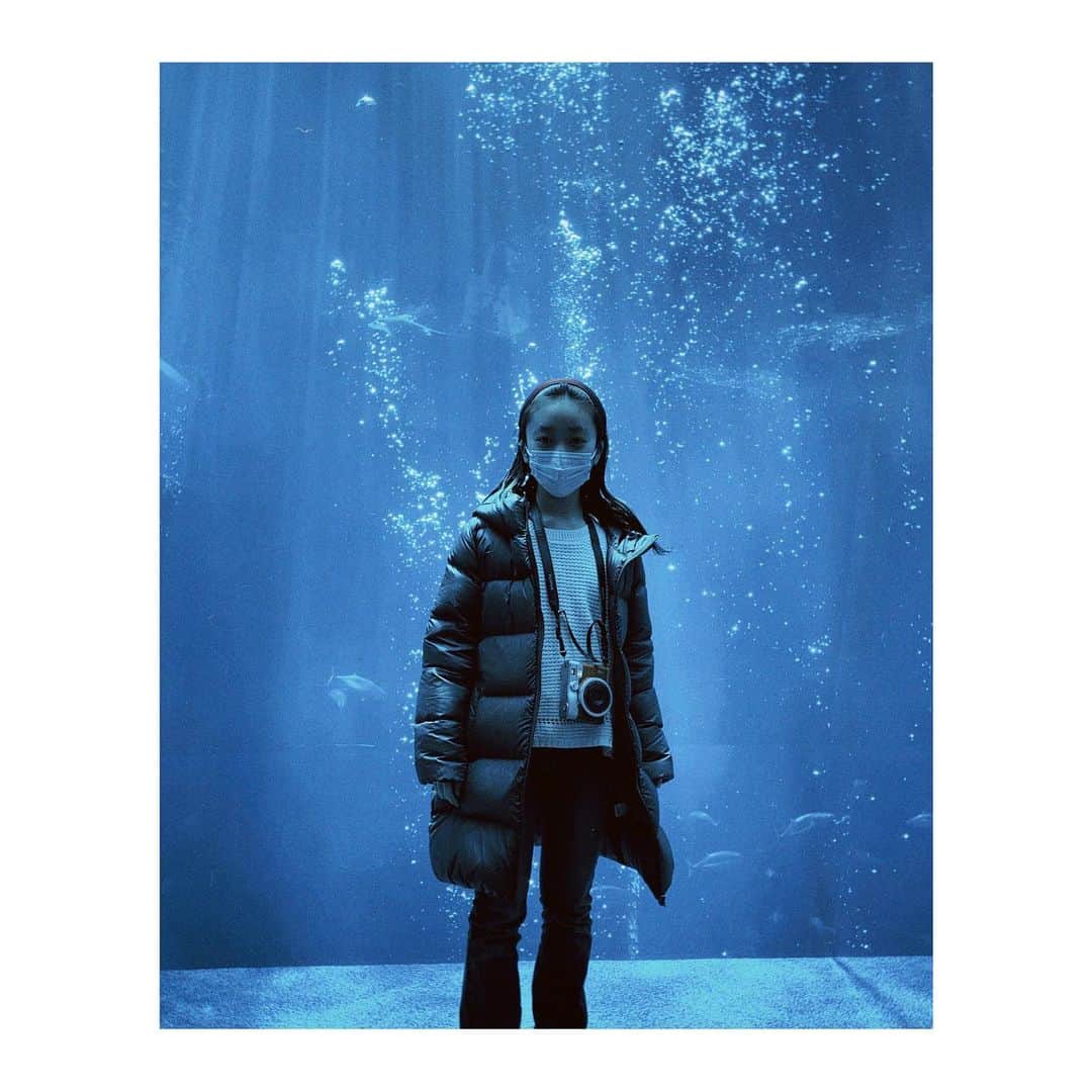 横溝菜帆さんのインスタグラム写真 - (横溝菜帆Instagram)「.  Season2の"希望の家"は福島で撮影しました。 撮影の合間に、以前から行きたいと思っていたアクアマリンふくしまに行きました⛱  大きな水槽を眺めていると、自分も海の中にいるような気分になれます。 綺麗な泡と青い光で、素敵な写真が撮れました✨  大きな水槽の前では、お寿司も食べることができます！ 泳いでる魚を見ながらお寿司を食べるのには少し罪悪感があったけど……美味しかったです😋🍣  カクレクマノミ、ダンゴウオ、クリオネなどの小さな魚は可愛かったです♡ シーラカンスの標本も見れました！ シーラカンスがこれほど大きいとは思っていなかったので、びっくりです😳  他にも、自分で釣った魚をお料理をしてもらえるところもありました。 また今度行きたいです🐠  #アクアマリンふくしま #カクレクマノミ #ダンゴウオ #シーラカンス」4月4日 14時00分 - y_naho_te