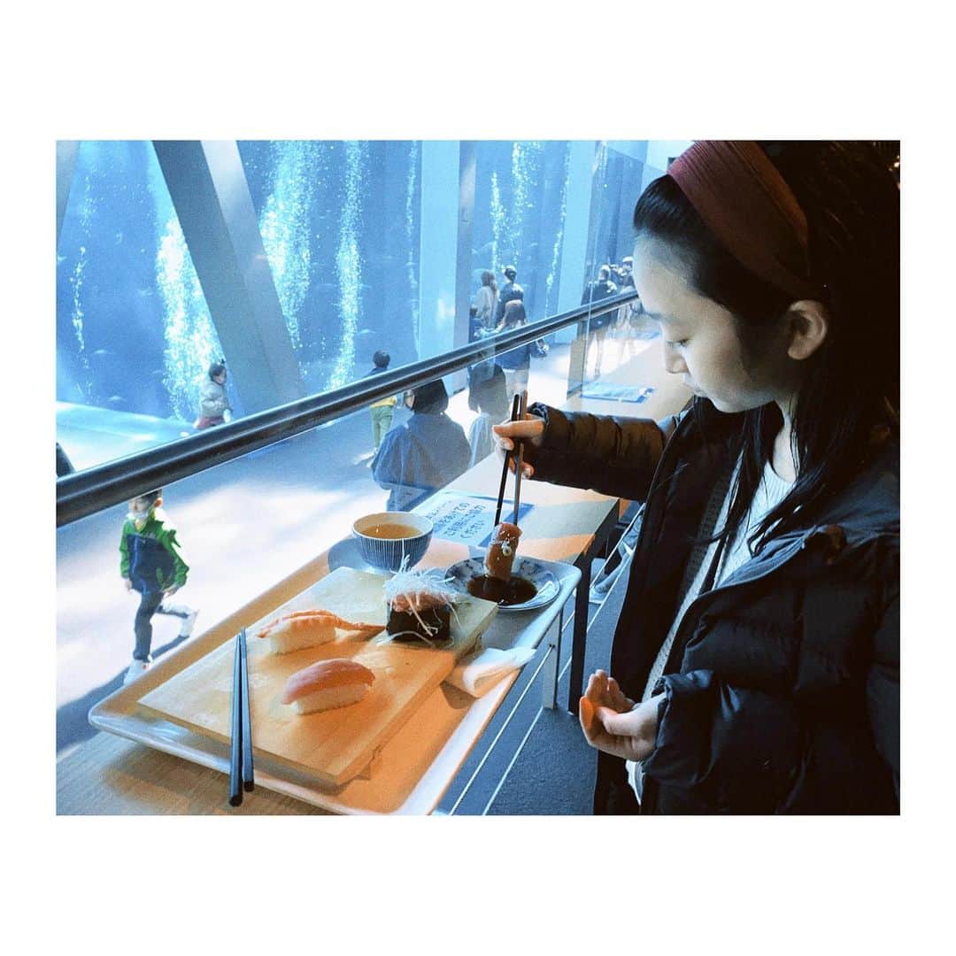 横溝菜帆さんのインスタグラム写真 - (横溝菜帆Instagram)「.  Season2の"希望の家"は福島で撮影しました。 撮影の合間に、以前から行きたいと思っていたアクアマリンふくしまに行きました⛱  大きな水槽を眺めていると、自分も海の中にいるような気分になれます。 綺麗な泡と青い光で、素敵な写真が撮れました✨  大きな水槽の前では、お寿司も食べることができます！ 泳いでる魚を見ながらお寿司を食べるのには少し罪悪感があったけど……美味しかったです😋🍣  カクレクマノミ、ダンゴウオ、クリオネなどの小さな魚は可愛かったです♡ シーラカンスの標本も見れました！ シーラカンスがこれほど大きいとは思っていなかったので、びっくりです😳  他にも、自分で釣った魚をお料理をしてもらえるところもありました。 また今度行きたいです🐠  #アクアマリンふくしま #カクレクマノミ #ダンゴウオ #シーラカンス」4月4日 14時00分 - y_naho_te