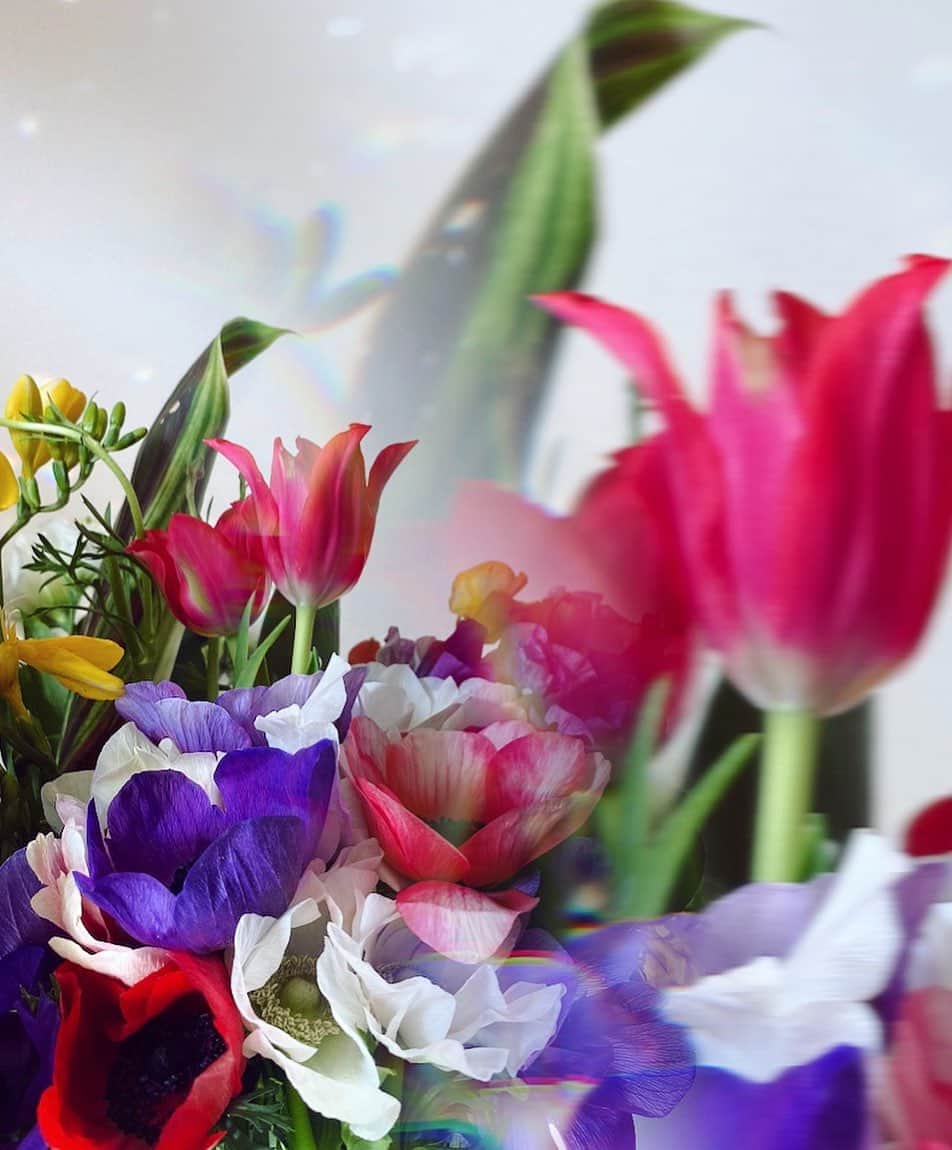 内山理名さんのインスタグラム写真 - (内山理名Instagram)「🦩🌷⛅️ * * いい季節ですね。春の香りがする。  フリージアの甘酸っぱい香りはキュンとする。 今　この瞬間をたのしもう。」4月4日 14時09分 - rinauchiyama_official