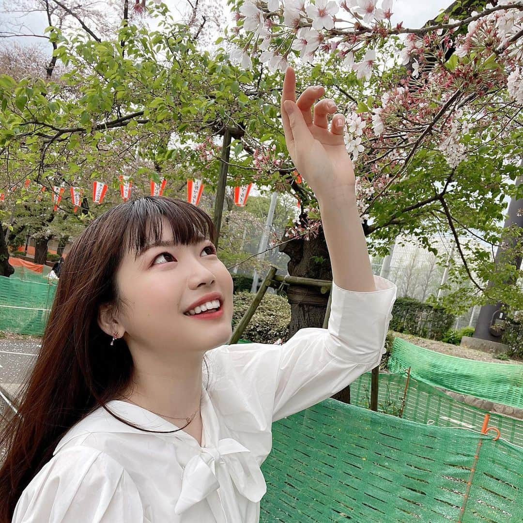 竹川由華さんのインスタグラム写真 - (竹川由華Instagram)「葉桜を見上げています🌸 　#葉桜　#桜　#cherryblossom  #Spring #Instagram #インスタ　#instagramjapan #instagramers #photo #picture #Follow」4月4日 14時23分 - cute.sis58