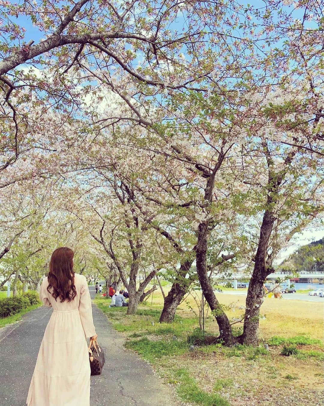 内山絵里加さんのインスタグラム写真 - (内山絵里加Instagram)「・ ・ 桜さんぽ🌸 うららかな春をおすそわけ。 葉桜も、好きだなあ。 ・ 今年は見納めでしょうか。 もう藤の花が咲いていました。 なんだか今年は季節が進むのが早いような。 また来年を、たのしみに🌸 ・ きょうはお仕事がんばります！ 素敵な日曜日を♡ ・ #桜 #桜並木 #静岡 #ソメイヨシノ#さんぽ #花めぐり #都田川 #日曜日」4月4日 14時36分 - erika.uchiyama1129