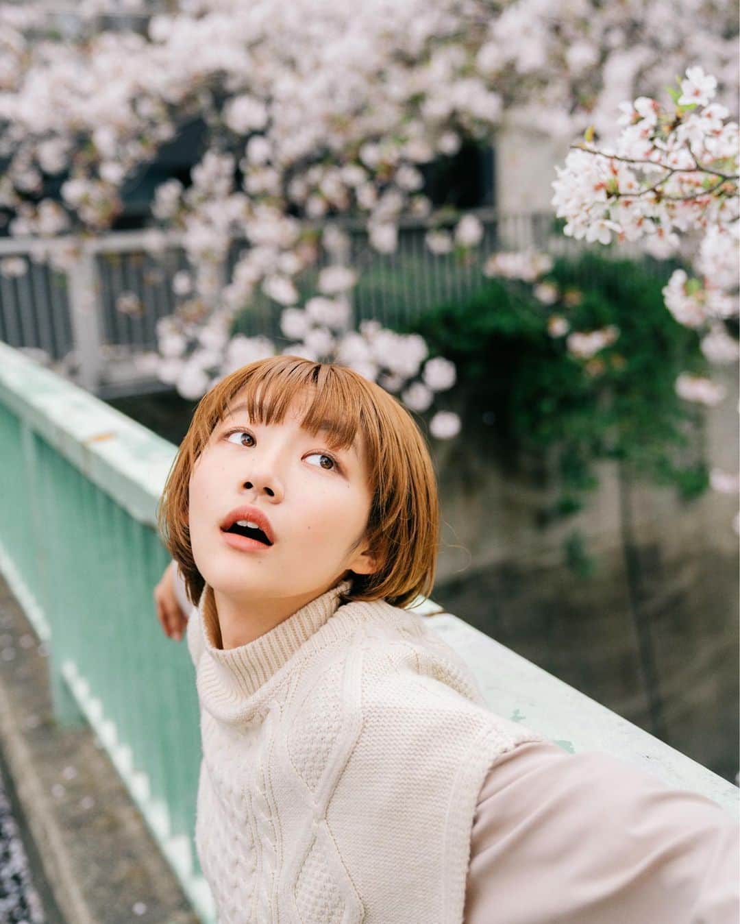 masayuki nittaのインスタグラム：「. 🦦🌸」