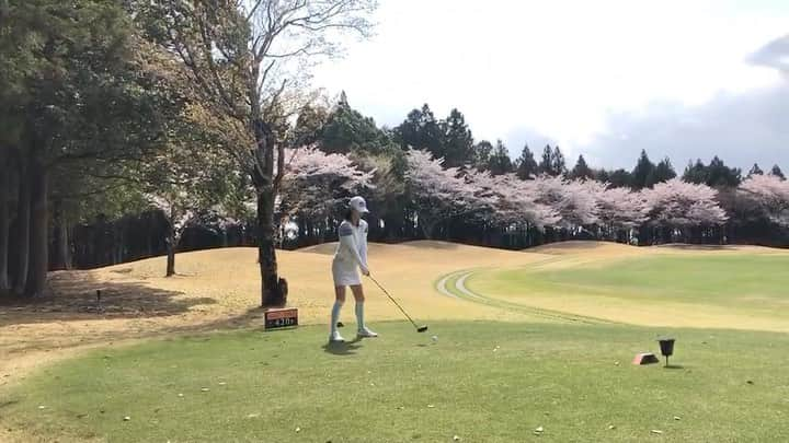 青山恭子のインスタグラム：「. 最高のゴルフ日和⛳️ 最高のお花見ラウンド🌸 . ここのOUTは随所に桜が咲き乱れてて、お花見しながらラウンド出来ます🎵 . ただ…コースを知らないとめちゃんこ難しいです💦 グリーンもヤバい💦💦 . . . #ゴルフ日和 #お花見ラウンド #⛳️🌸 #ムサコーサッカー部 #ゴルフコンペ #新ペリはまらず #ニアピンゲット #素振りと本番が違う件 #自信を持とう #なかなか難しいけどね #ゴルフ女子 #golf女子 #ゴルフ大好き」