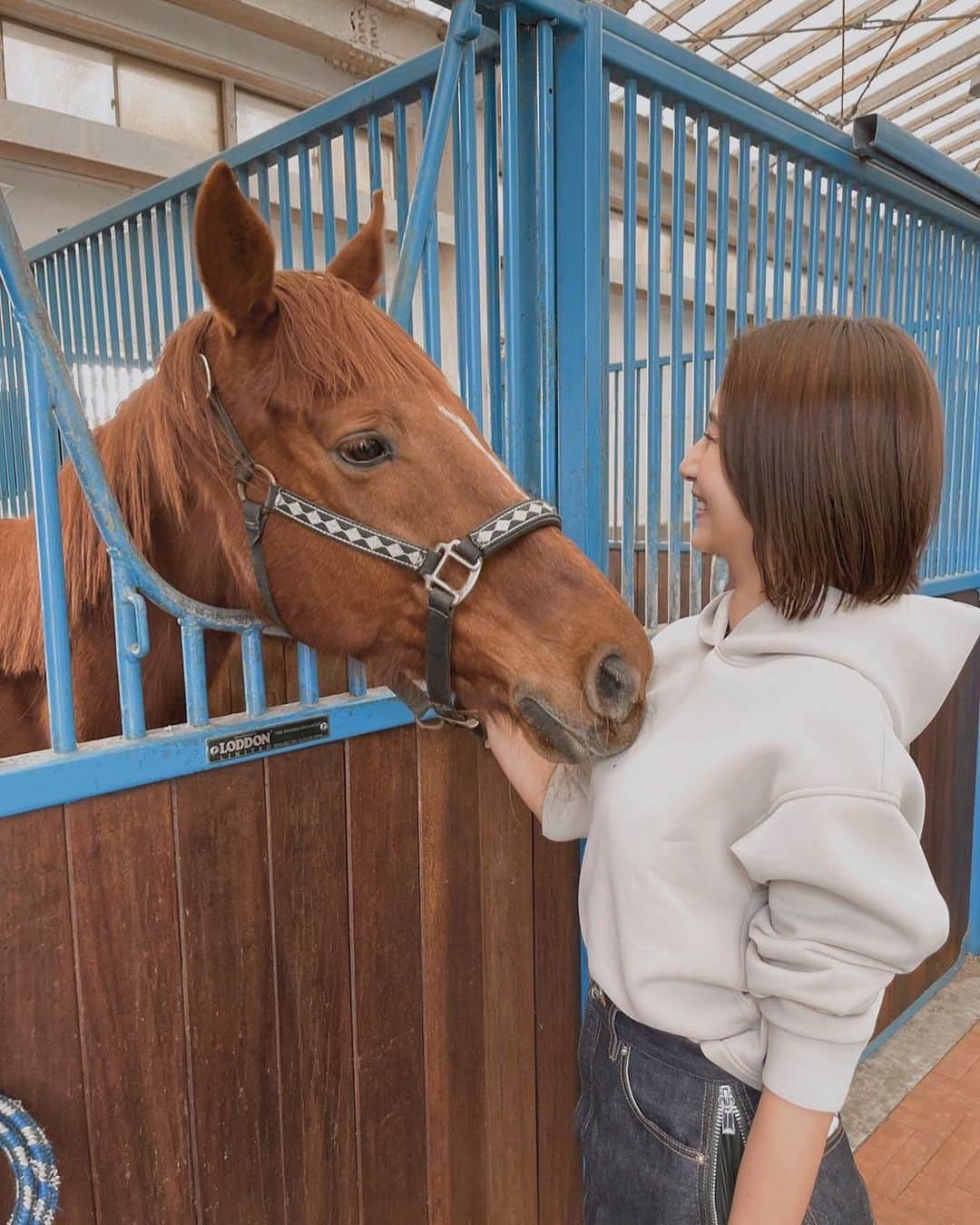 高橋美咲のインスタグラム：「. 呼んだら振り向いて近付いてきてくれた可愛いやつ🤍🤍 . . #ジャズ君　#イケメン #nasufarmvillage」