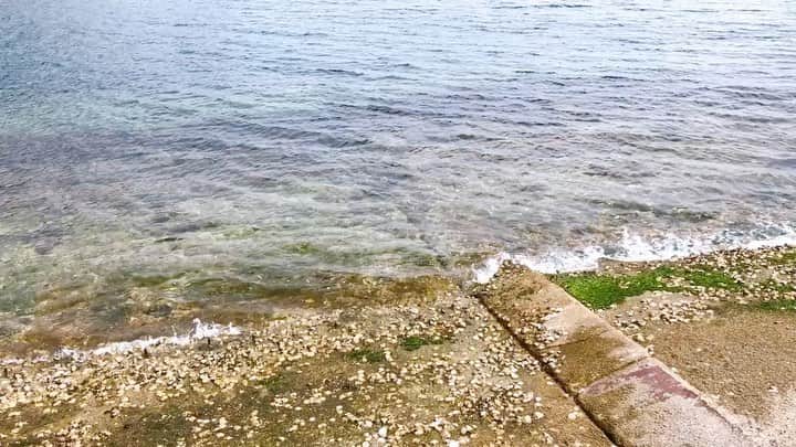 PASSER のインスタグラム：「近くの海🏖🐠☀️」