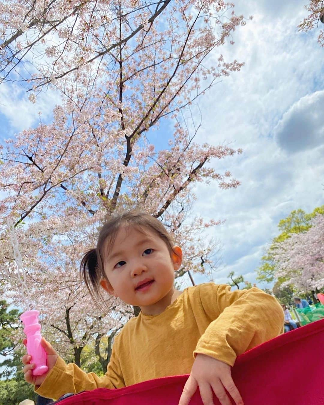 七菜香さんのインスタグラム写真 - (七菜香Instagram)「𝟐𝟎𝟐𝟏年𝐋𝐚𝐬𝐭のお花見🌸 ・ たくさん遊んで楽しかったね☺️ 大きいわんわんが来てたくさん触れ合っていた娘たち💕 可愛かったなあー♡ 今日の雨で桜だいぶちっちゃうかな😢 ・ ・ ・ ・ ・ ・ #cherryblossom #sakura #park #picnic #momlife #momanddaughter #daughter #1year9months #babygirl #instadaily #instagood #お花見 #桜 #公園ピクニック #女の子ベビー #女の子ママ #1歳9ヶ月 #🌸」4月4日 12時50分 - nanaka0118