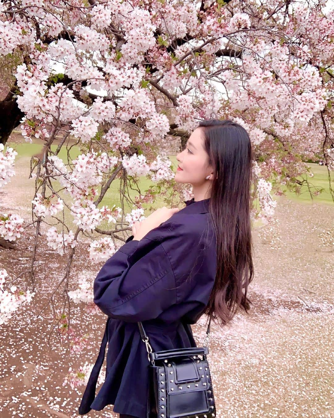 岩波彩華のインスタグラム：「今年は沢山サクラ感じられました🌸💕 いっぱいお花見した🤍  #桜 #お花見 #新宿御苑 #cherryblossom #mylook #fashion #model #shooting #japan #tokyo #beauty #japanesegirl #camera #follow #撮影 #粉我 #照片 #时装 #漂亮 #我倒 #我的最愛 #攝影 #followme #高身長女子 #팔로미 #뷰티스타그램 #전신샷 #좋아요 #좋아요환영 #패션」