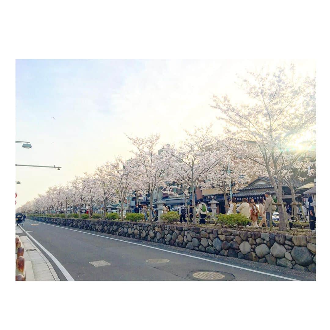 千眼美子さんのインスタグラム写真 - (千眼美子Instagram)「・ 🚶‍♀️🌸🚶‍♂️🌸🚌🌸🚗🌸 #japan  #cherryblossom  #sakura #blooming #桜 #さくら #花見 #お花見 #日本 #神社 #櫻花 #🇯🇵 #⛩ #🌸」4月4日 23時59分 - yoshiko_sengen