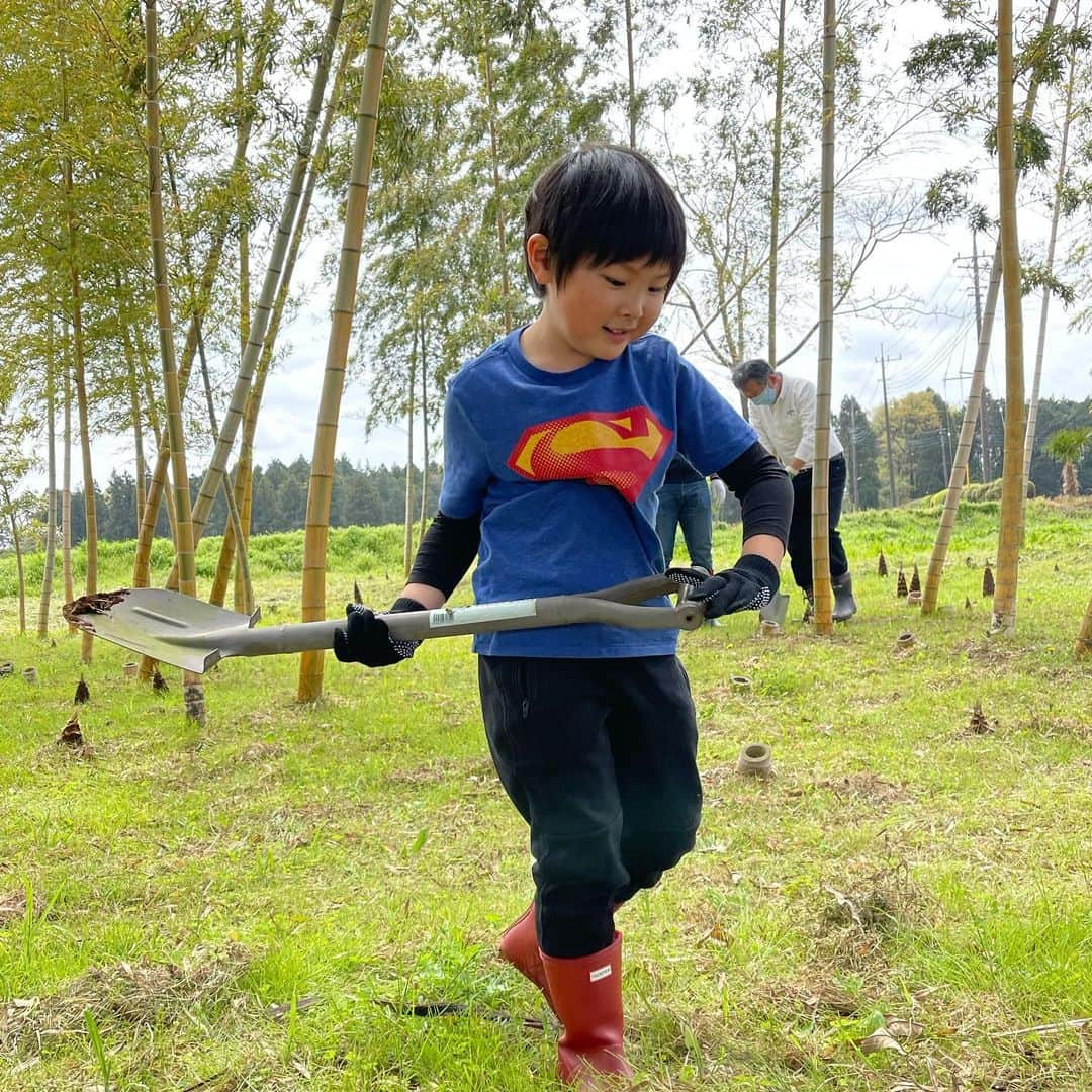 杉山愛さんのインスタグラム写真 - (杉山愛Instagram)「本日はたけのこ掘りに行ってきましたーーーっ🧤 杉山ファミリーにとっては初めてのたけのこ掘り😆  ちょこっと頭の出ているものを見つけて👀まわりをザクザク掘る😊 綺麗に取れた時は快感✨ たーくさん取れましたよ😆 旬のものを頂ける幸せ💛 たけのこ料理色々トライしようっと🥢」4月4日 16時43分 - aisugiyamaofficial