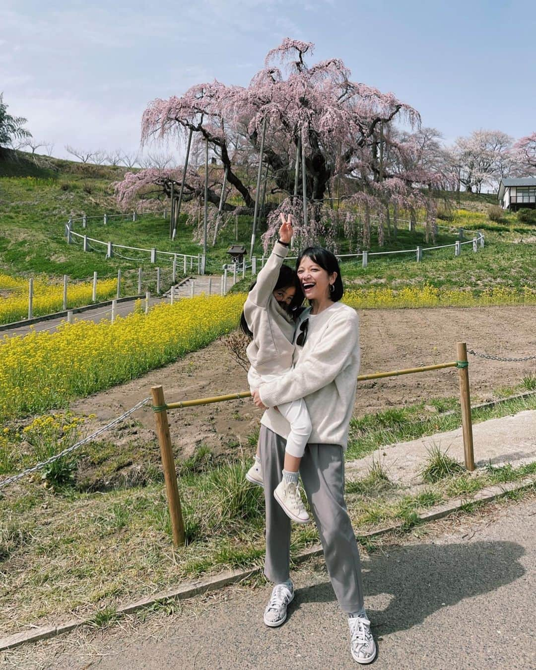 原田沙奈子さんのインスタグラム写真 - (原田沙奈子Instagram)「三春滝桜。  綺麗だったなー これで3分咲きってゆーから驚く。  菜の花と桜と青空。  桜見えたー！のタイミングでアマネのトイレタイムとなり、 トイレ探しながら5歳児を半分抱えてダッシュ、 疲労感と共に見た景色が沁みた。  忘れないぜ🌸  #福島#三春滝桜」4月4日 17時35分 - sanakoharada