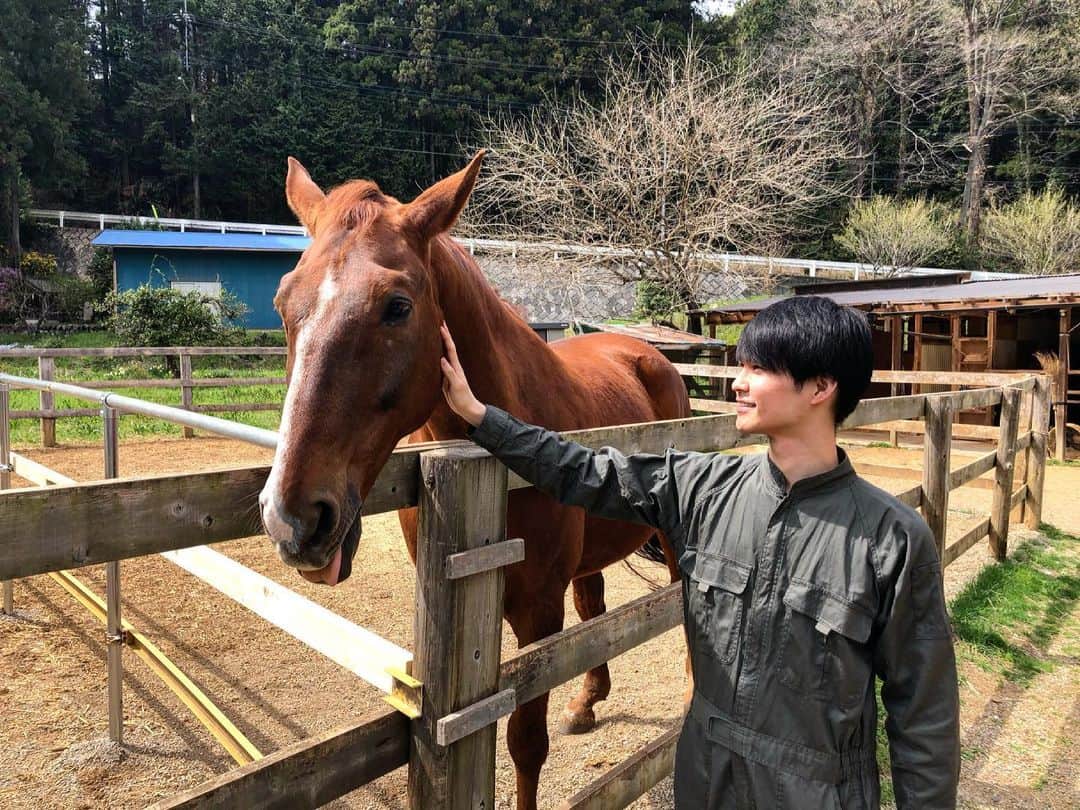 前田康士朗のインスタグラム：「withお馬  #男と馬  #馬 #撮影」