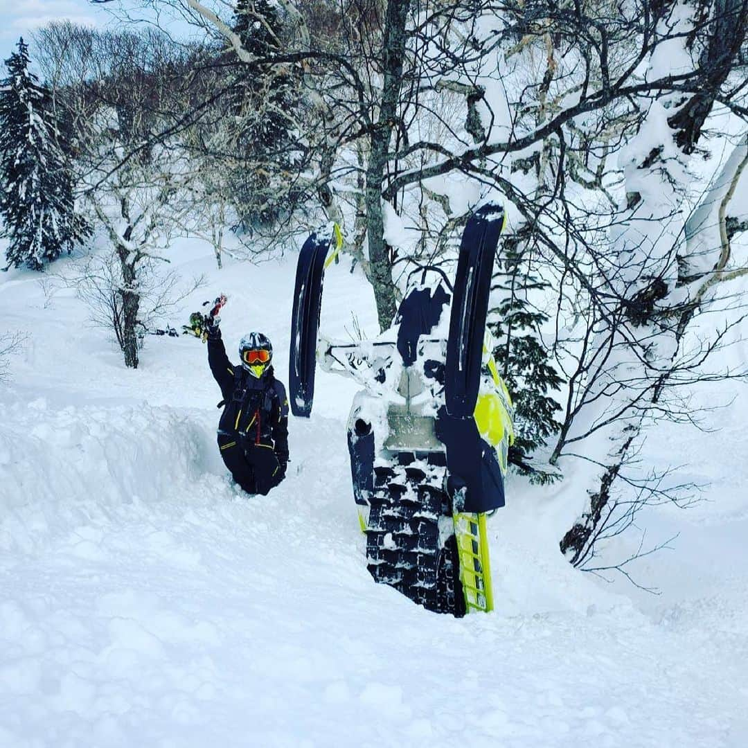 松田翔太さんのインスタグラム写真 - (松田翔太Instagram)「Chin up, Chest out and raise your hand😆 @jerryoftheday #素晴らしい日本」4月4日 17時42分 - shota_matsuda