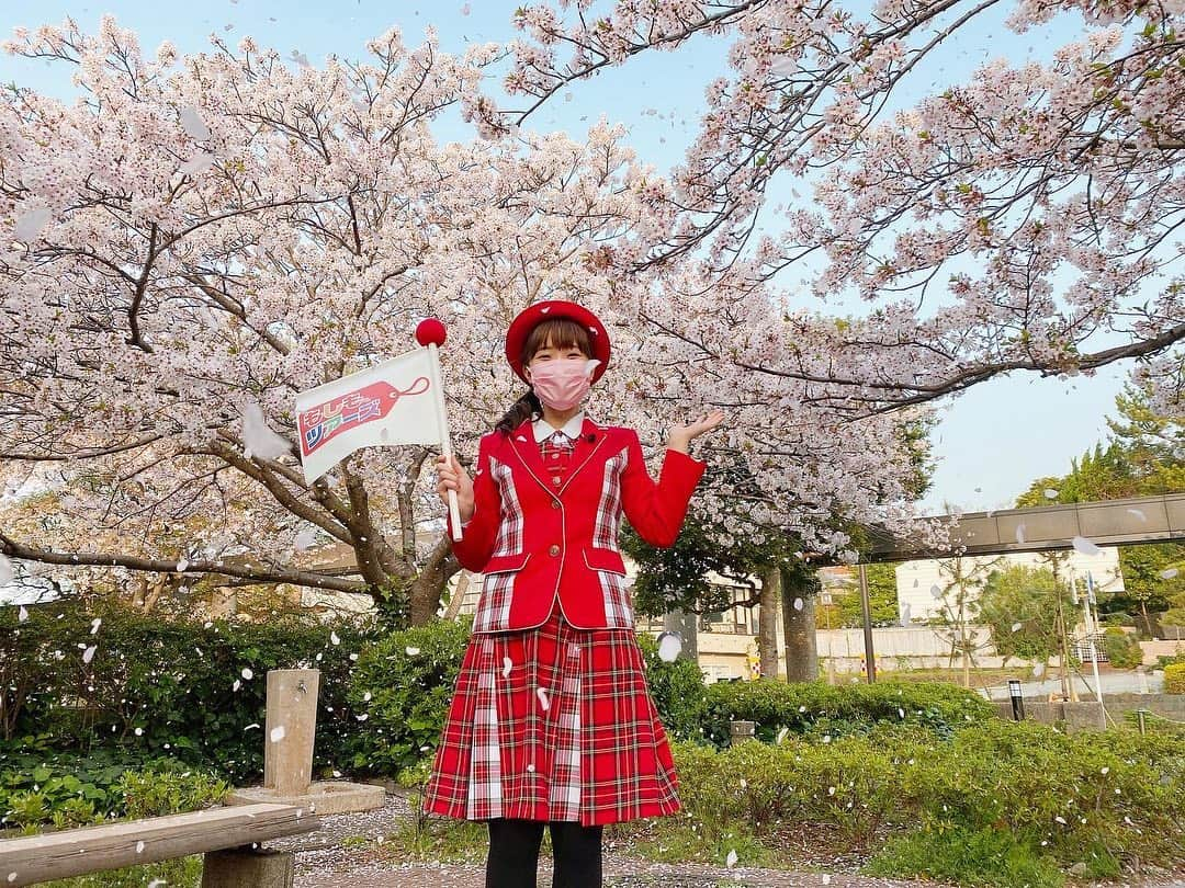 渡邊渚さんのインスタグラム写真 - (渡邊渚Instagram)「桜が満開🌸 風が吹いて桜の花びらがひらひら舞うナイスなタイミングで、祐奈ちゃん(@yunataira_official)が撮ってくれました😍 センスの塊！！ありがとう✨  #もしツア#次回も#桜です🌸 #桜#満開#花吹雪」4月4日 18時00分 - watanabenagisa_