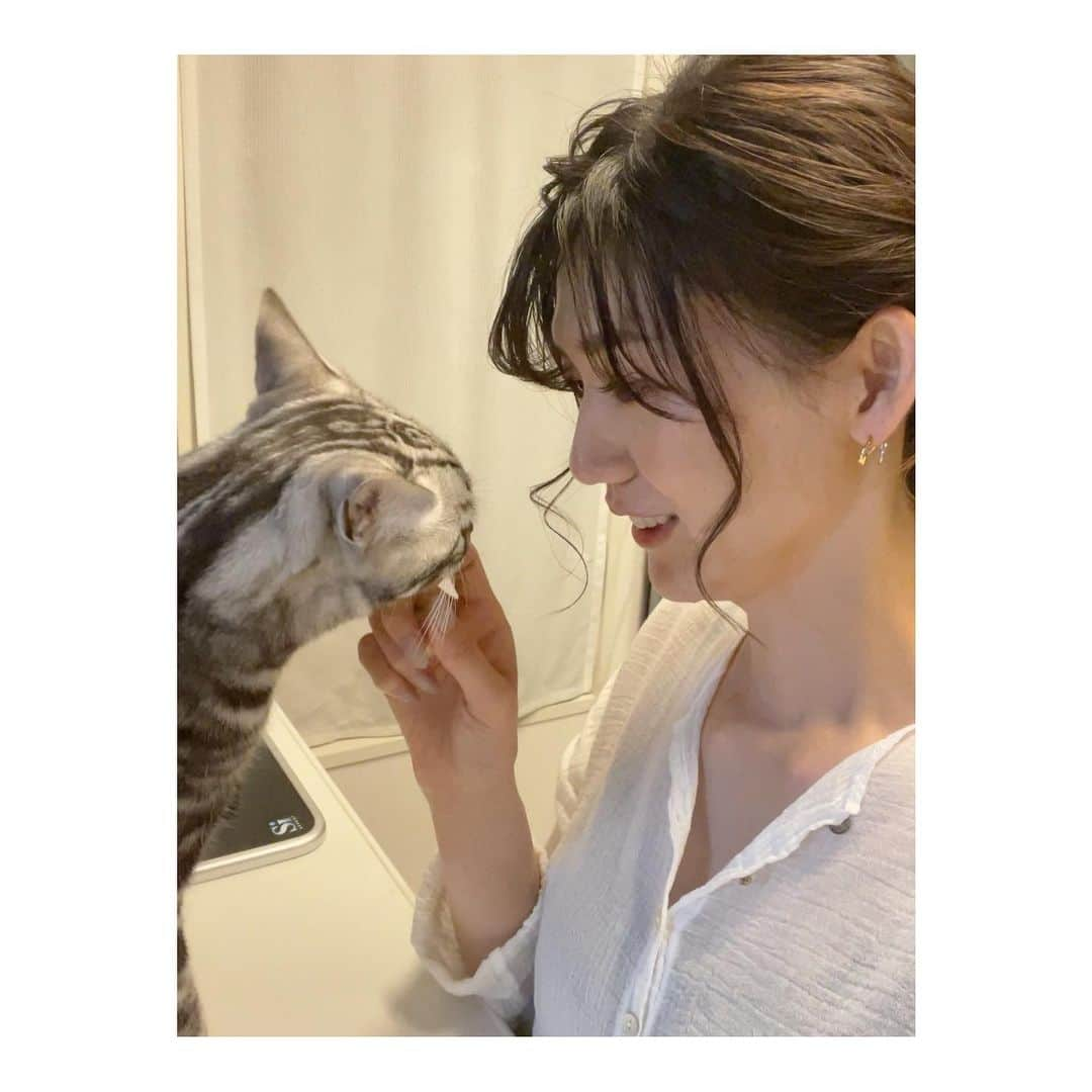 栗原恵さんのインスタグラム写真 - (栗原恵Instagram)「🌰 ※発売日修正しました⛑  「雑誌ねこ 118号」に 縁と紬と共に載せてもらっています🐈🐈♡  2021年4月12日(月) 全国書店・一部コンビニにて発売されます📚  頑張って撮った3人の家族写真も 見てもらえたら嬉しいです🤳笑  #雑誌ねこ #縁と紬🦖🦖  #アメリカンショートヘア  #アメショー  #保護猫 #猫のいる暮らし」4月4日 19時02分 - megumi_kurihara_official