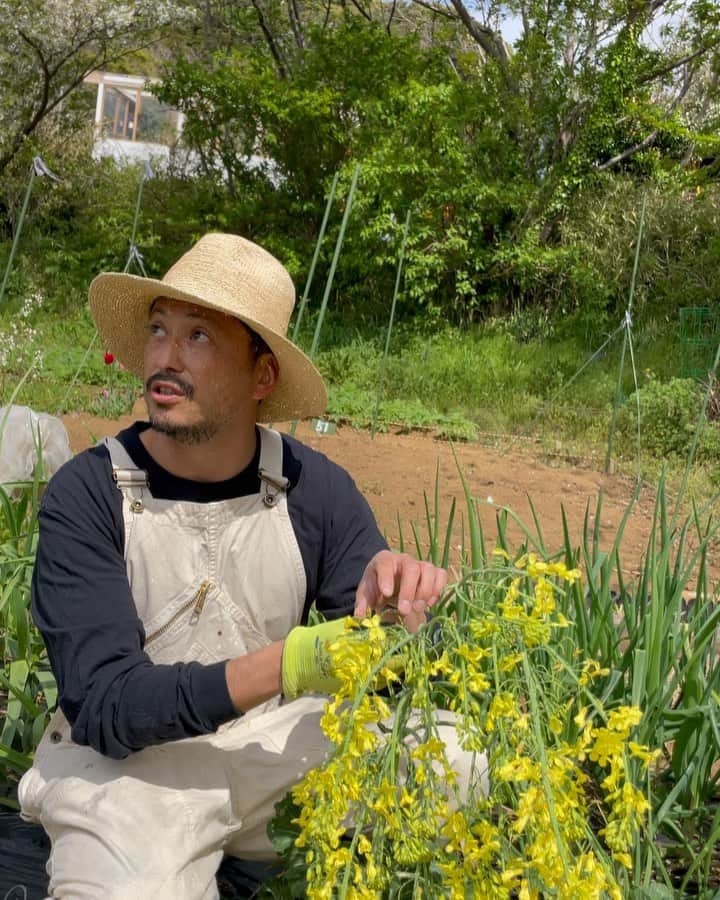 池内博之のインスタグラム