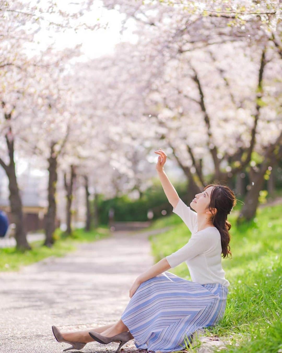 佐藤佳奈さんのインスタグラム写真 - (佐藤佳奈Instagram)「岩原さんが桜とのポートレートを撮ってくれました🌸 @ytv_iwahara  ・ 会社からは、大阪城公園の桜がよく見えてとても綺麗なんです✨ もうそろそろ桜も散り始めていますね🥲 来年はお花見出来る世界になっていますように🍡 ・ 他の写真は読売テレビアナウンス部公式Instagramに載っています！ @ytvana_official  ・ ・ #桜 #大阪城公園 #ポートレート」4月4日 20時04分 - kana_sato_sakana