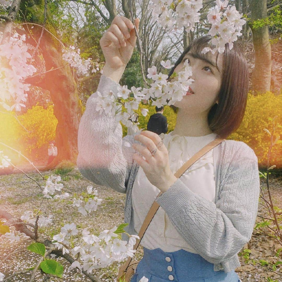 星名あゆみさんのインスタグラム写真 - (星名あゆみInstagram)「🎞🌸🌸﻿ ﻿ ﻿ ﻿ ﻿ ﻿ #さくら #新宿御苑 #フィルム写真  #followｍe #selfie #me #photography #photooftheday #fff  #ootd #데일리 #셀스타그램 #被写体 #写真 #ボブ #tiktok ﻿#as_archive #fff  #古着 #fint #japanesegirl」4月4日 21時27分 - hoshina_ayumi