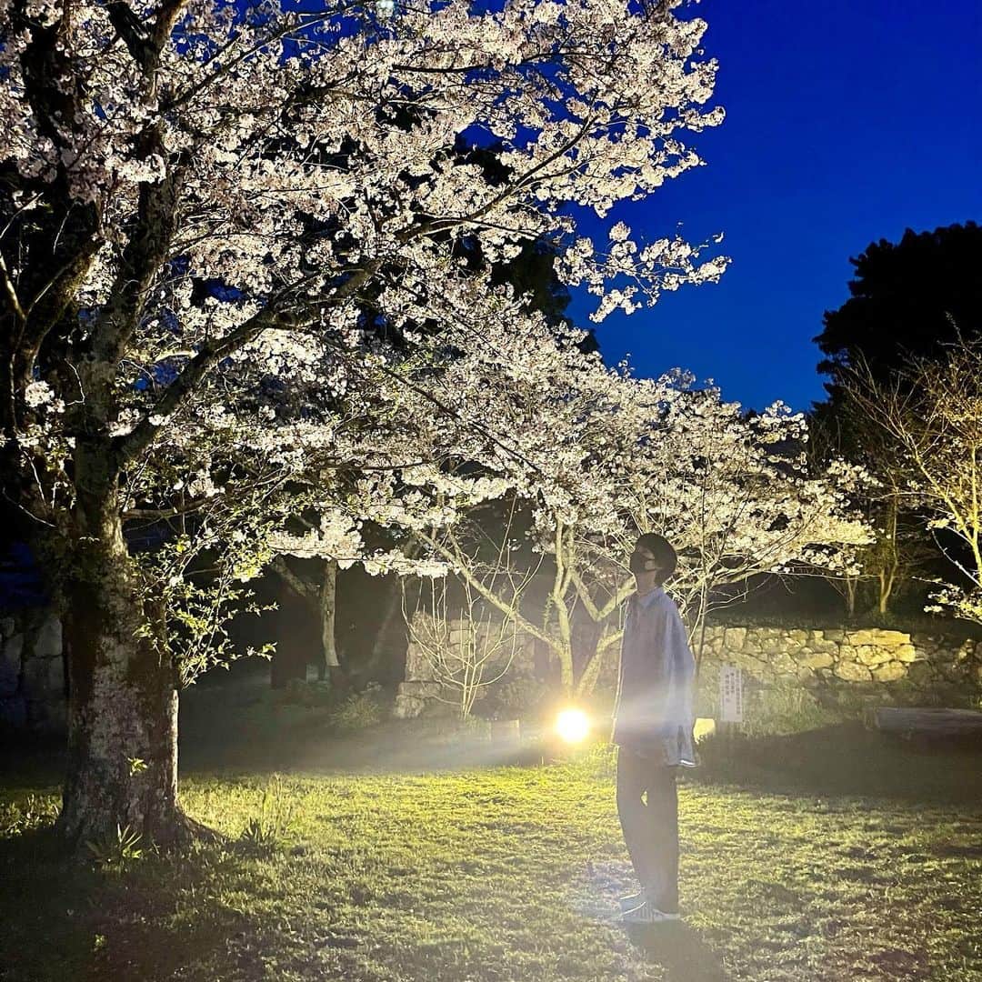 曽野舜太さんのインスタグラム写真 - (曽野舜太Instagram)「🌸🌸🌸  Cherry blossoms in Mie. Beautiful~!!!!!  #mie #cherryblossom #MILK #曽野舜太」4月4日 22時31分 - sonoshunta_milk