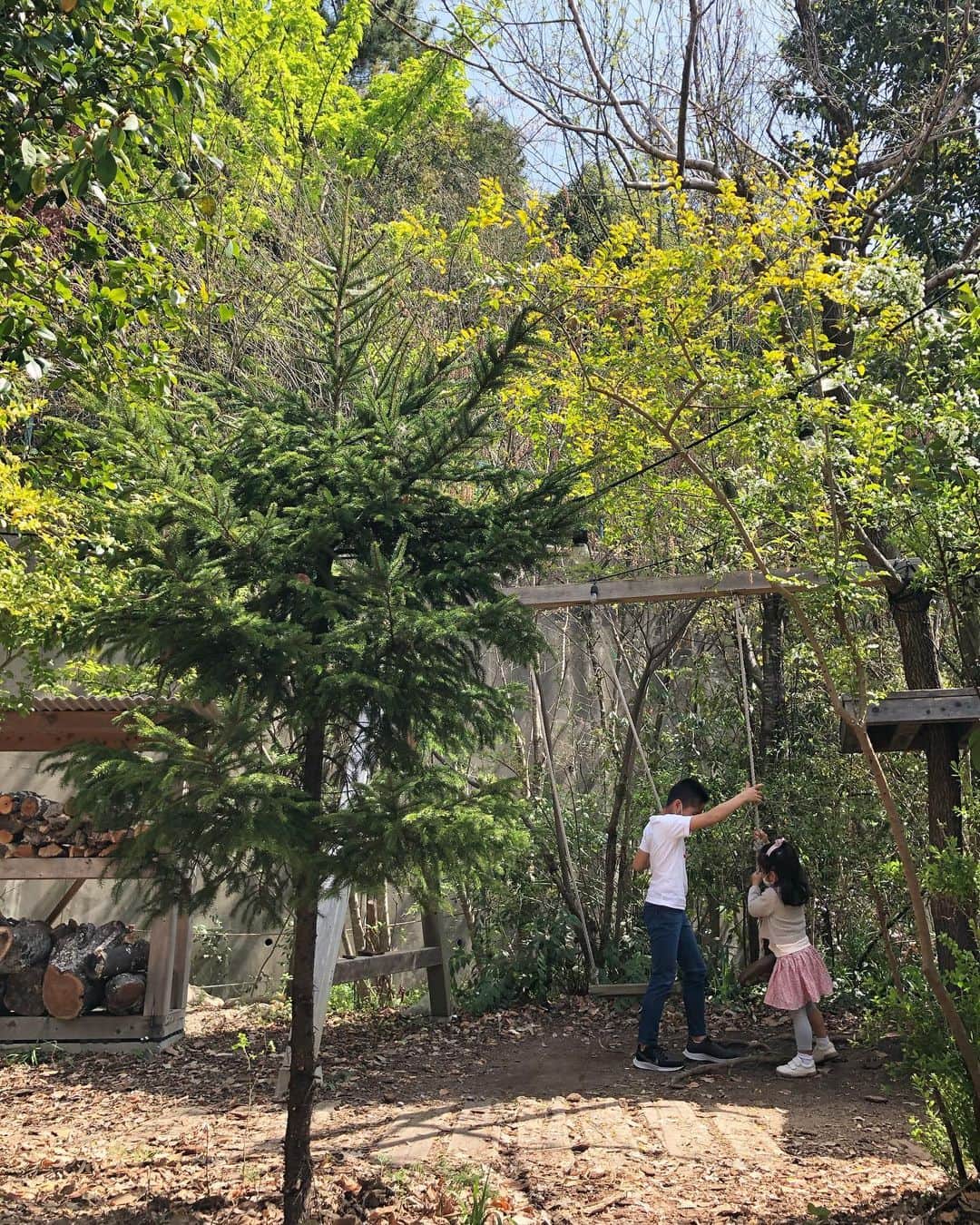 林香里さんのインスタグラム写真 - (林香里Instagram)「・ ・ 店内もガーデンもお洒落なカフェへ🌿🪵🌼🐿 緑たっぷりなガーデンは子供が遊べて 森の中みたいな空間で、凄く楽しんでた☺︎  子供連れには有難い🙏🏻  #lunch#garden#cafe#mama」4月5日 8時46分 - kaori_hayashi1203