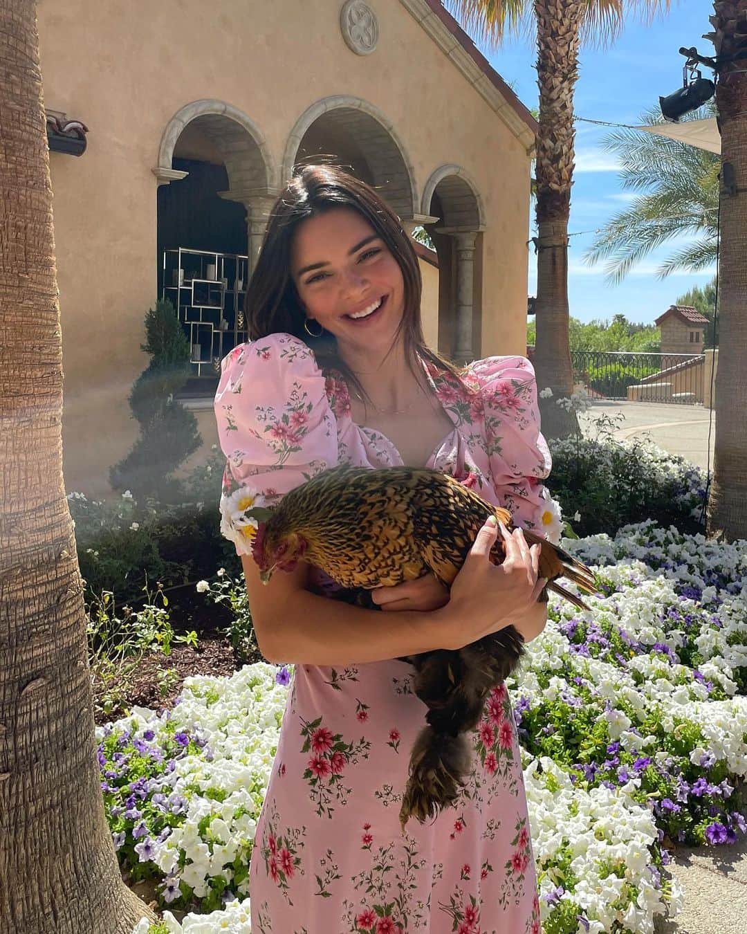 ケンダル・ジェンナーさんのインスタグラム写真 - (ケンダル・ジェンナーInstagram)「🐓」4月5日 3時15分 - kendalljenner