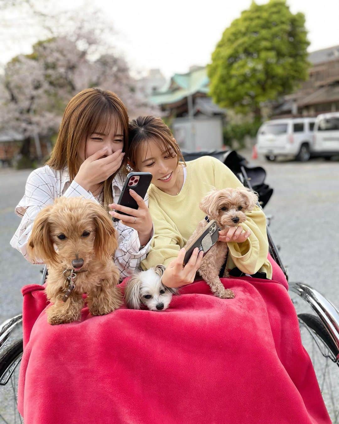 CHIHAさんのインスタグラム写真 - (CHIHAInstagram)「楽しかった浅草デート❤️  #浅草 #人力車 #愛犬 #ダップー #マルプー #マルパピ #犬のいる生活 #犬連れ #asakusa #japan #tokyo」4月5日 10時17分 - chiha6170