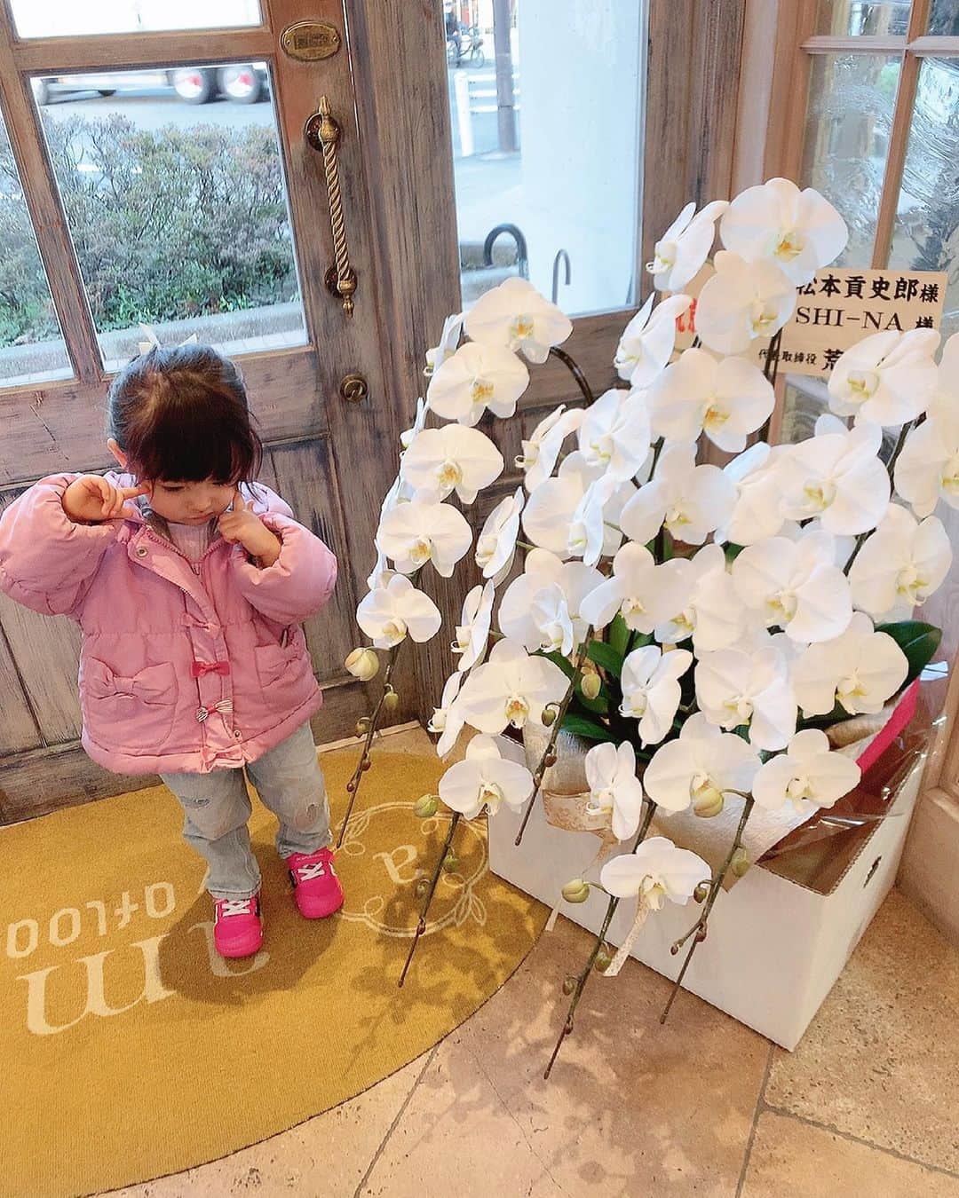 大知めぐみのインスタグラム