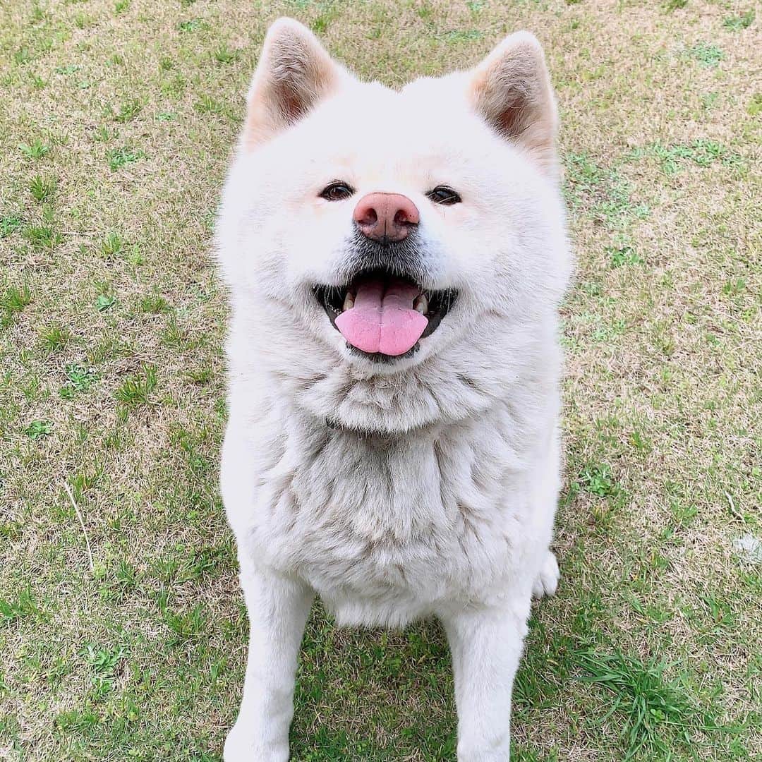 水谷雅子のインスタグラム