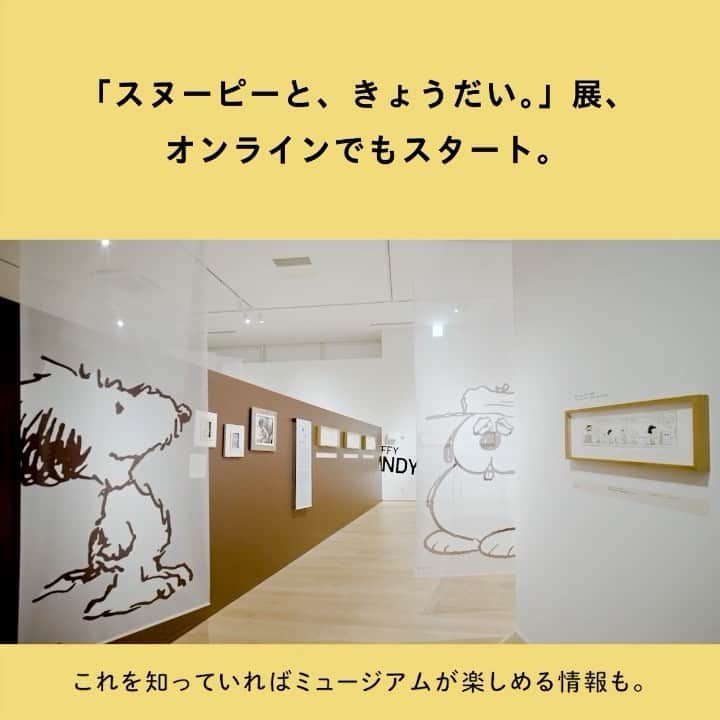 SNOOPY MUSEUM TOKYOのインスタグラム：「【オンライン、リニューアルオープン】 昨年から始まったスヌーピーミュージアム・オンライン。好評につき、企画展「スヌーピーと、きょうだい。」の映像を追加し、リニューアルオープンしました。 オンラインでミュージアム限定グッズをおかいものできるのはここだけ。 2回目以降のご視聴の方にはお得な割引もご用意しました。ぜひお楽しみください。  #スヌーピーミュージアム #スヌーピーミュージアムオンライン #snoopymuseum #SNOOPY #PEANUTS」