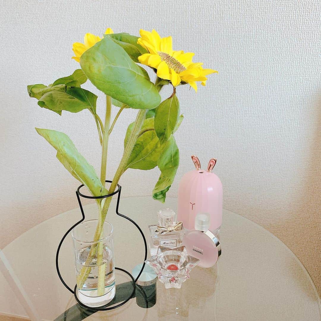 木村那津美さんのインスタグラム写真 - (木村那津美Instagram)「今回のおはな💐  前回のお花がよく持ってくれたのと、 桜🌸で潤っていたので おうちのお花はおやすみ😌でした。  今回は　#サンダーソニア #花言葉は #祈り#助けて#祝福の音色 #サンダーソニアの別名は幸せのベル #なんだそうです #かわいい」4月5日 11時44分 - natsumi_kimura1018