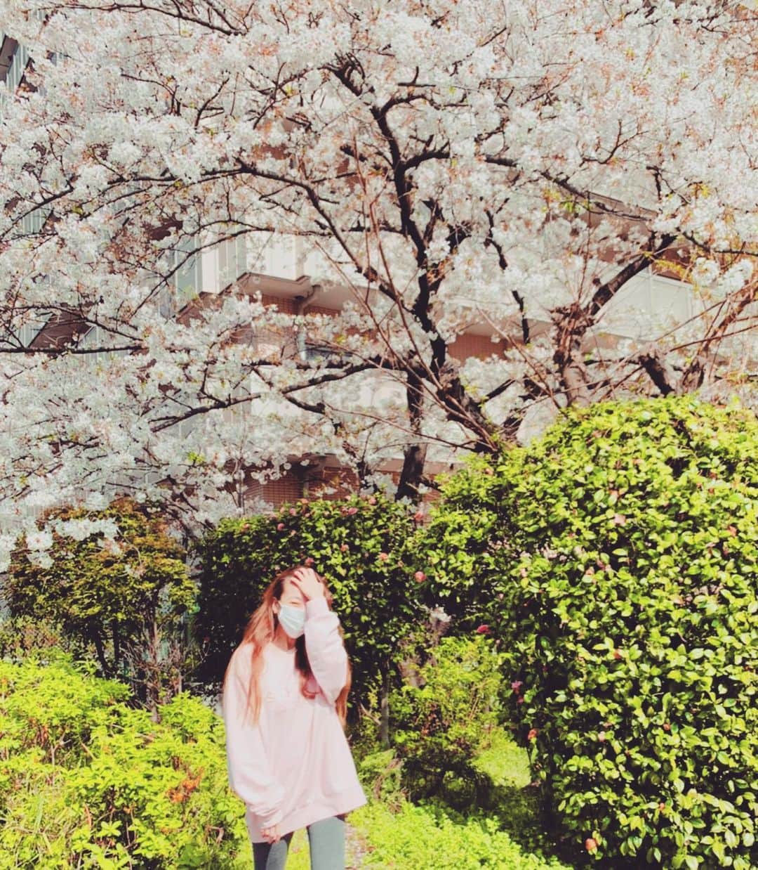 あびる優さんのインスタグラム写真 - (あびる優Instagram)「今年も桜キレイだったね。 バイバイ桜、、🌸🍃 また来年☺️✨🥺  #sakura#cherryblossom#spring#さくら#サクラ#桜」4月5日 12時38分 - yuabiru74