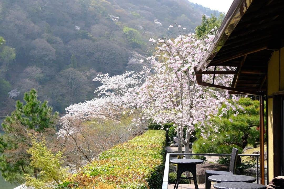 奥田順子さんのインスタグラム写真 - (奥田順子Instagram)「茶寮 八翠🍵でお花見しながらアフタヌーンティー。最高のロケーション🌸🌸🌸 #茶寮八翠#京都カフェ#京都アフタヌーンティー#spgホテル」4月5日 12時47分 - okuda_junko