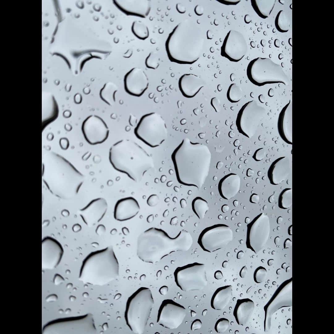木村拓哉さんのインスタグラム写真 - (木村拓哉Instagram)「﻿ ﻿ 「あらららら………って感じの雨ですね。﻿ 気温も下がり昨日とは全く違う表情の日です。﻿ 皆さん、体調管理をしっかりして下さいね。」﻿ ﻿ STAYSAFE！﻿ ﻿ 拓哉﻿ #木村拓哉#TakuyaKimura」4月5日 13時36分 - takuya.kimura_tak