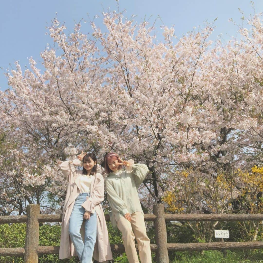 大塚美波のインスタグラム：「この前るりちゃんと桜🌸見に行った😊   #さくら #🌸 #過去pic」