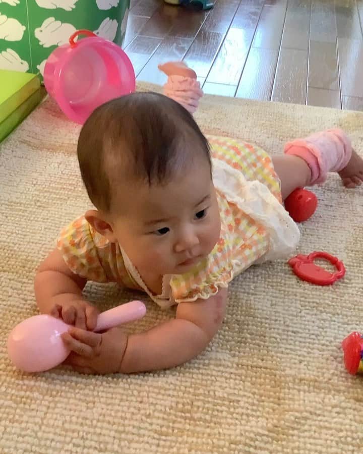 川面千晶のインスタグラム：「生後7ヶ月になりました❣️ ・ 離乳食はなぜか一回だけ爆食して、それ以外はあんまりです😂 ・ 夜泣きはするけど、手を握ったら泣き止むの可愛すぎてやめろよ🥰」