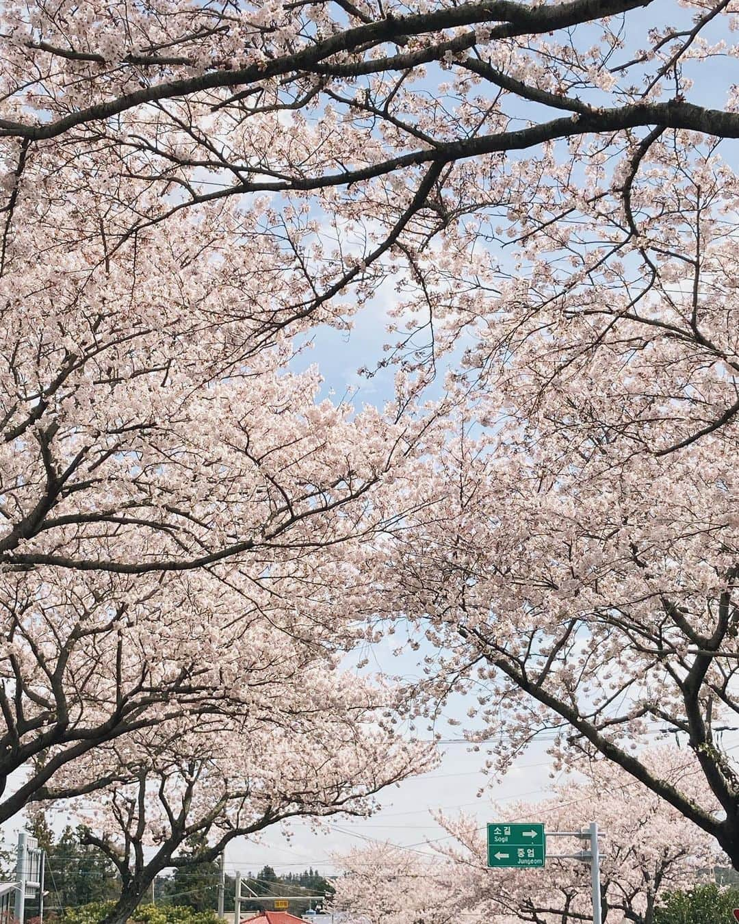 ソン・ファミンさんのインスタグラム写真 - (ソン・ファミンInstagram)4月5日 16時43分 - hwa.min