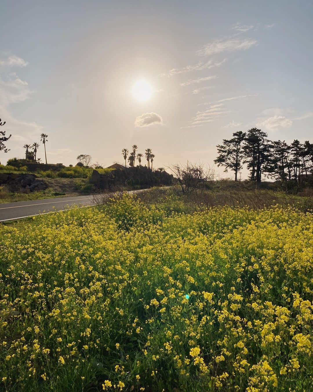 ソン・ファミンさんのインスタグラム写真 - (ソン・ファミンInstagram)4月5日 16時43分 - hwa.min