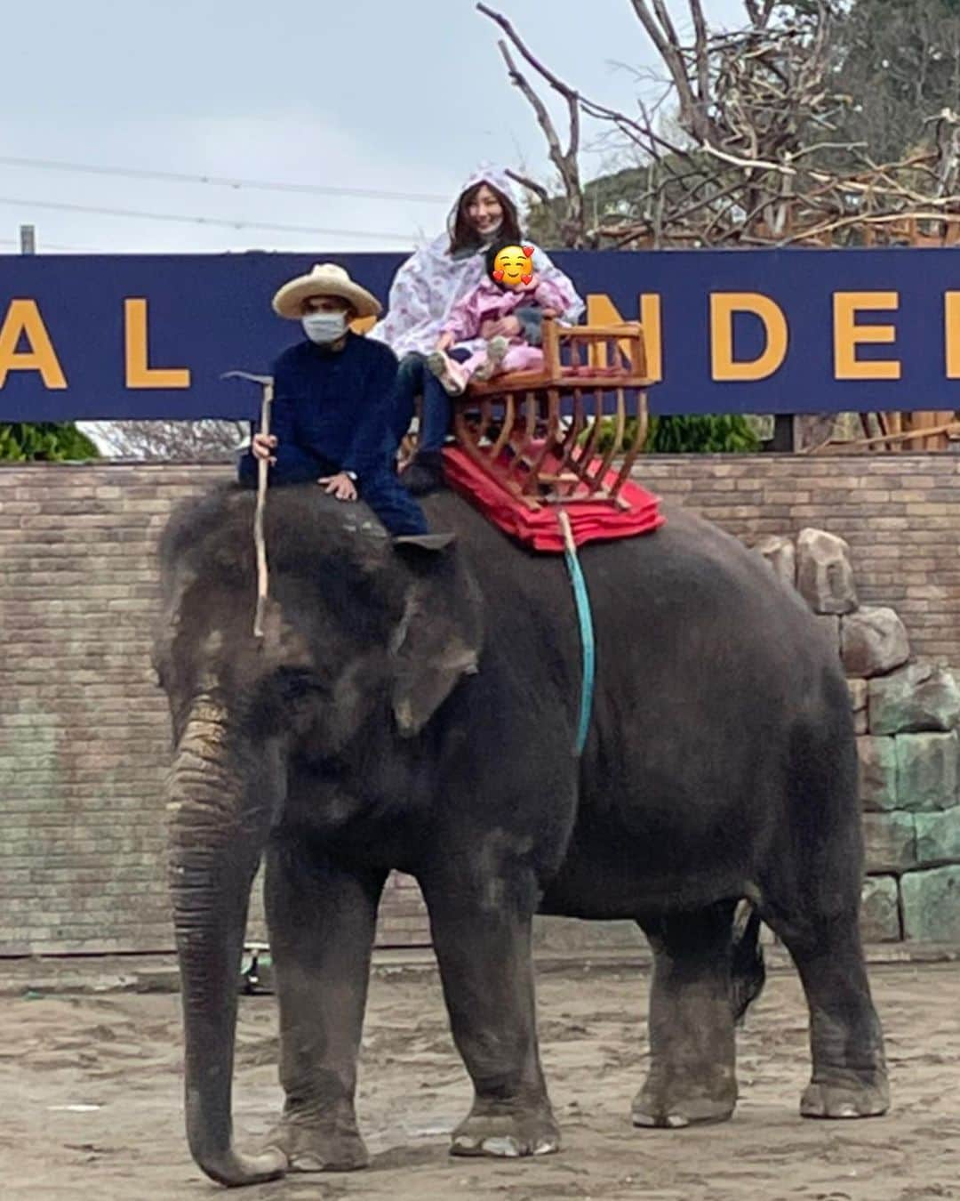 熊田曜子さんのインスタグラム写真 - (熊田曜子Instagram)「I went to a theme park with elephants.  市原ぞうの国へ🦣 象の背中に乗ったよ〜🐘 他にも象の鼻にお金を渡してぬいぐるみをもらったり 象のサッカーを見たり 面白かった😆 象の他にも色んな動物がいて 色んな動物にエサがあげられたよ😊  #市原ぞうの国  #象　#子供達　#春休み　#旅行」4月5日 20時54分 - kumadayoko