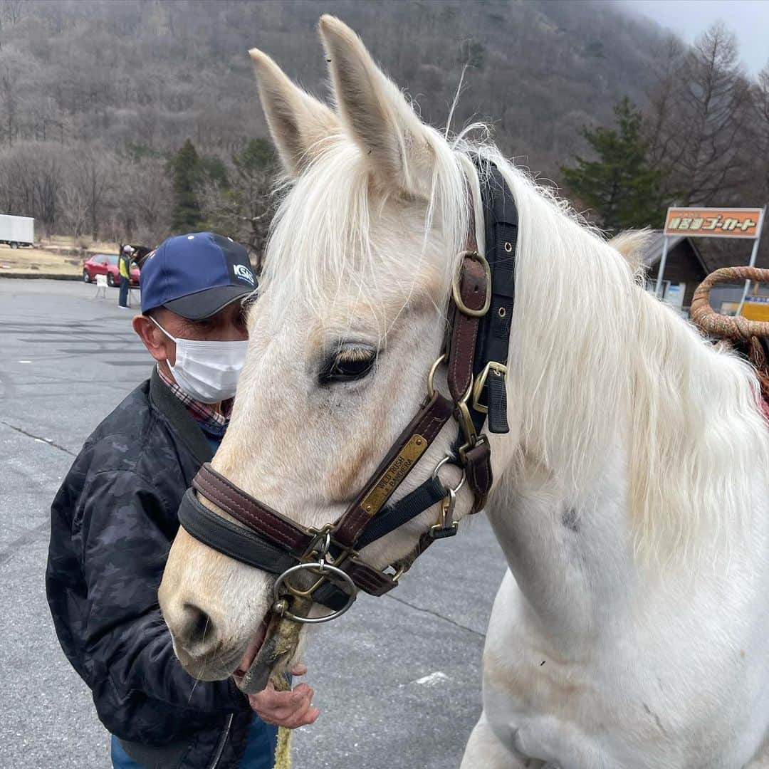 山田スタジアムさんのインスタグラム写真 - (山田スタジアムInstagram)「聖地群馬巡礼②  #藤原とうふ店 #群馬 #伊香保温泉 #伊香保温泉石段街  #伊香保神社  #おもちゃと人形自動車博物館  #頭文字d  #頭文字d聖地巡礼 #dzガレージ5周年感謝祭  #dzガレージ  #藤原豆腐店  #馬  #サクラ7歳  #乗馬  #藤原拓海  #高橋涼介  #高橋啓介 #ae86  #ae86trueno  #ハチロク  #ハチロクトレノ  #片道下道で12時間 #ひひーん  #toyota  #mazdarx7  #しげの秀一 #1馬力」4月5日 21時27分 - yamadastadium