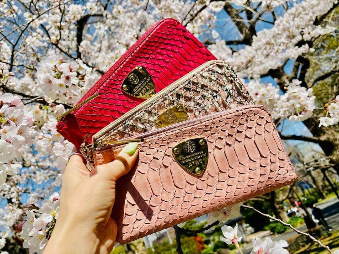 ATAO(アタオ)のインスタグラム