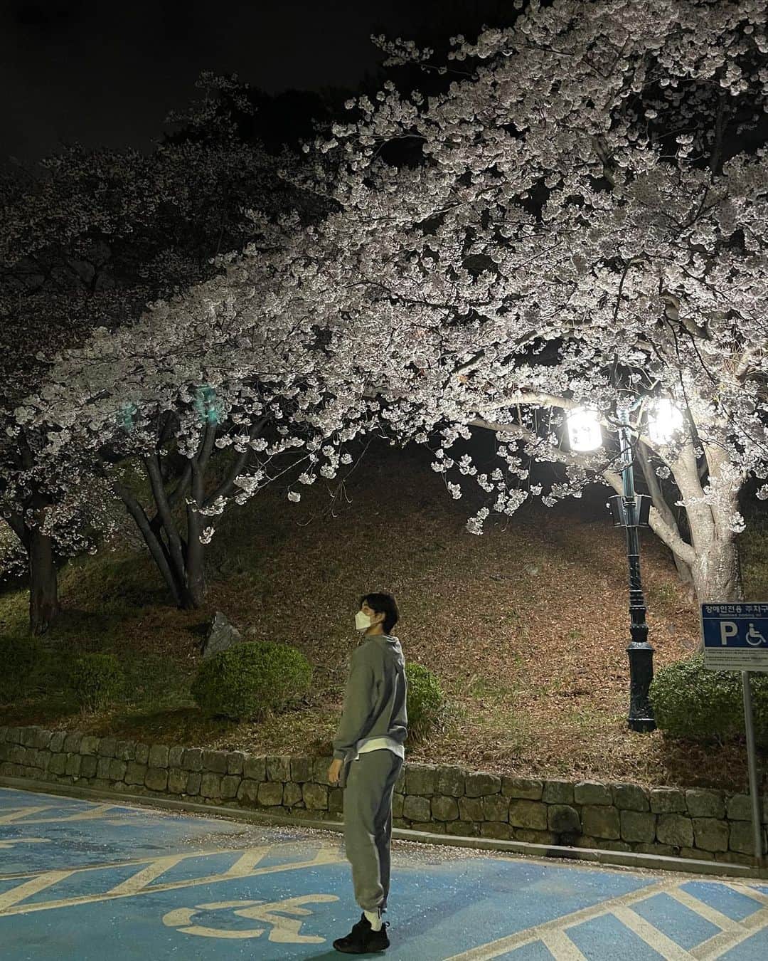 ユン・ソギョンさんのインスタグラム写真 - (ユン・ソギョンInstagram)「밤벚꽃」4月5日 21時55分 - yunny0213