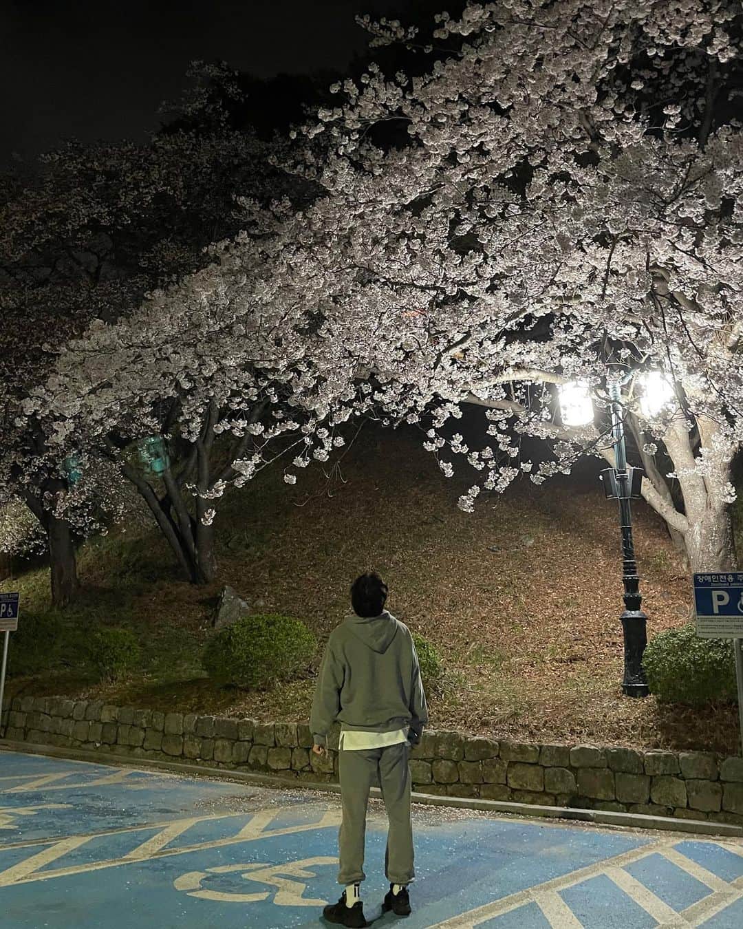 ユン・ソギョンのインスタグラム：「밤벚꽃」