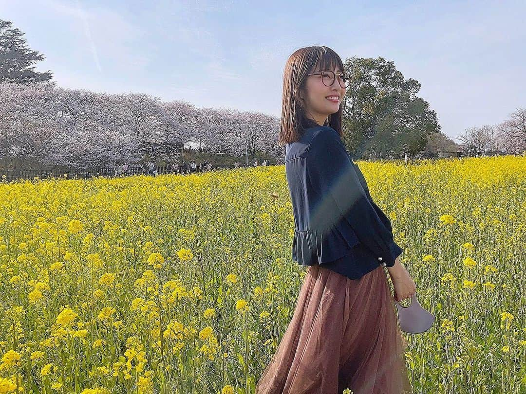 古川真奈美さんのインスタグラム写真 - (古川真奈美Instagram)「.﻿ .﻿ 菜の花🌼﻿ ﻿ ﻿ ﻿ ﻿ ﻿ #菜の花 #菜の花畑﻿ #桜 #春 #instalike #instamood  #ootd #东京 #扎心了 #ow #맞팔 #instapic  #팔로우미 #instaphoto #instagravure #girl #follow #followme #グラビア #japanesegirl #selfies  #インスタグラビア  #gravure ﻿」4月5日 23時15分 - mana_0619