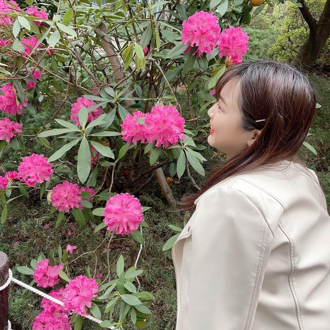 竹川由華さんのインスタグラム写真 - (竹川由華Instagram)「ピンクのお花を発見💓 　  　みんなでピンク推そぉ💓  #アイドル　#iDOL #Spring #花　#Flower #Instagram #instagramjapan #photo #picture #Follow #girls」4月6日 12時52分 - cute.sis58