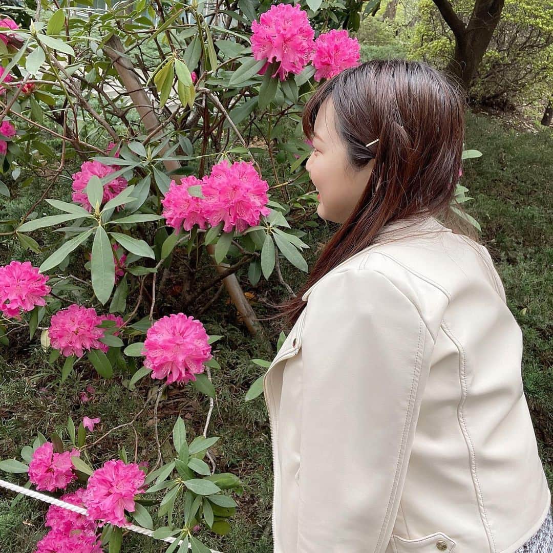 竹川由華さんのインスタグラム写真 - (竹川由華Instagram)「ピンクのお花を発見💓 　  　みんなでピンク推そぉ💓  #アイドル　#iDOL #Spring #花　#Flower #Instagram #instagramjapan #photo #picture #Follow #girls」4月6日 12時52分 - cute.sis58