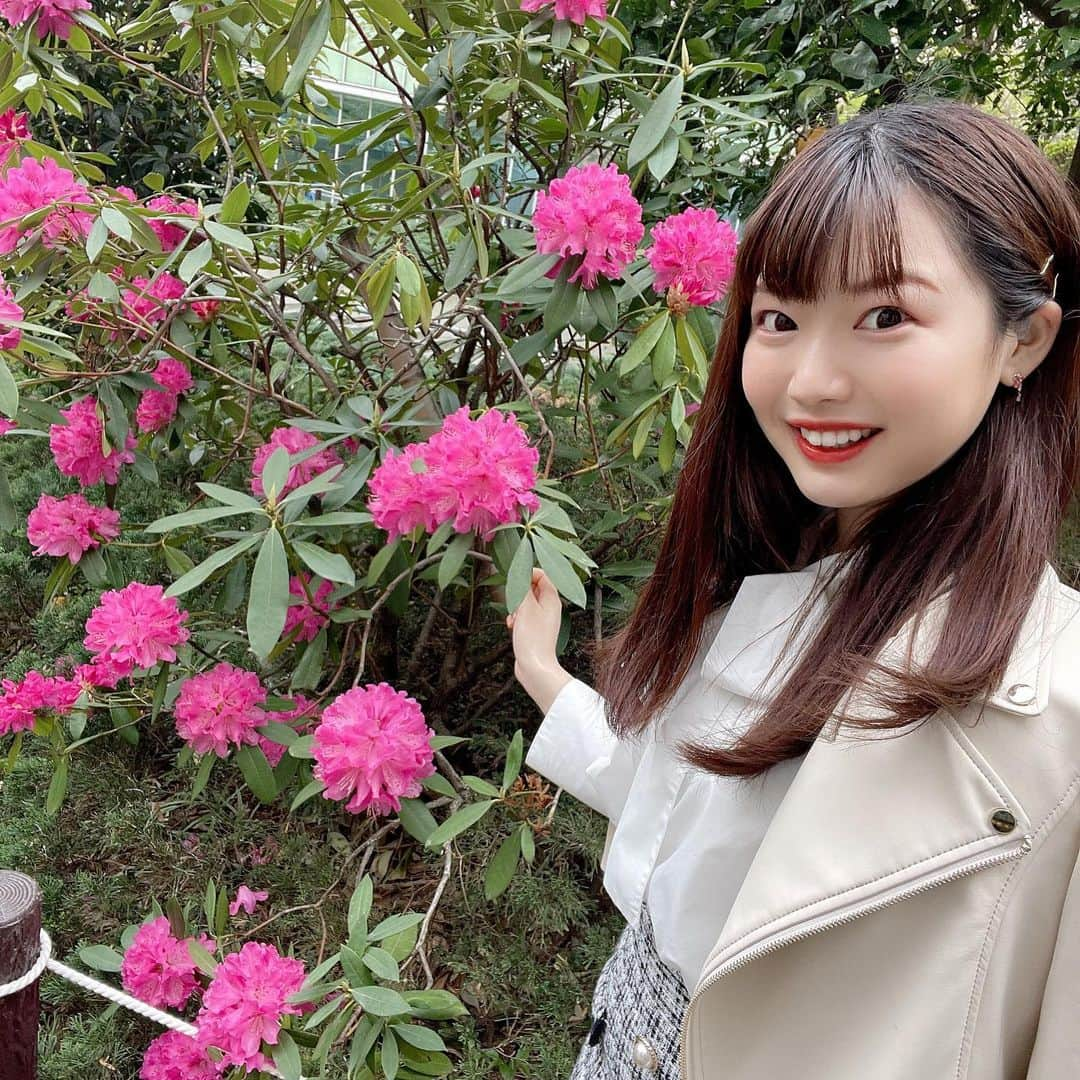 竹川由華さんのインスタグラム写真 - (竹川由華Instagram)「ピンクのお花を発見💓 　  　みんなでピンク推そぉ💓  #アイドル　#iDOL #Spring #花　#Flower #Instagram #instagramjapan #photo #picture #Follow #girls」4月6日 12時52分 - cute.sis58