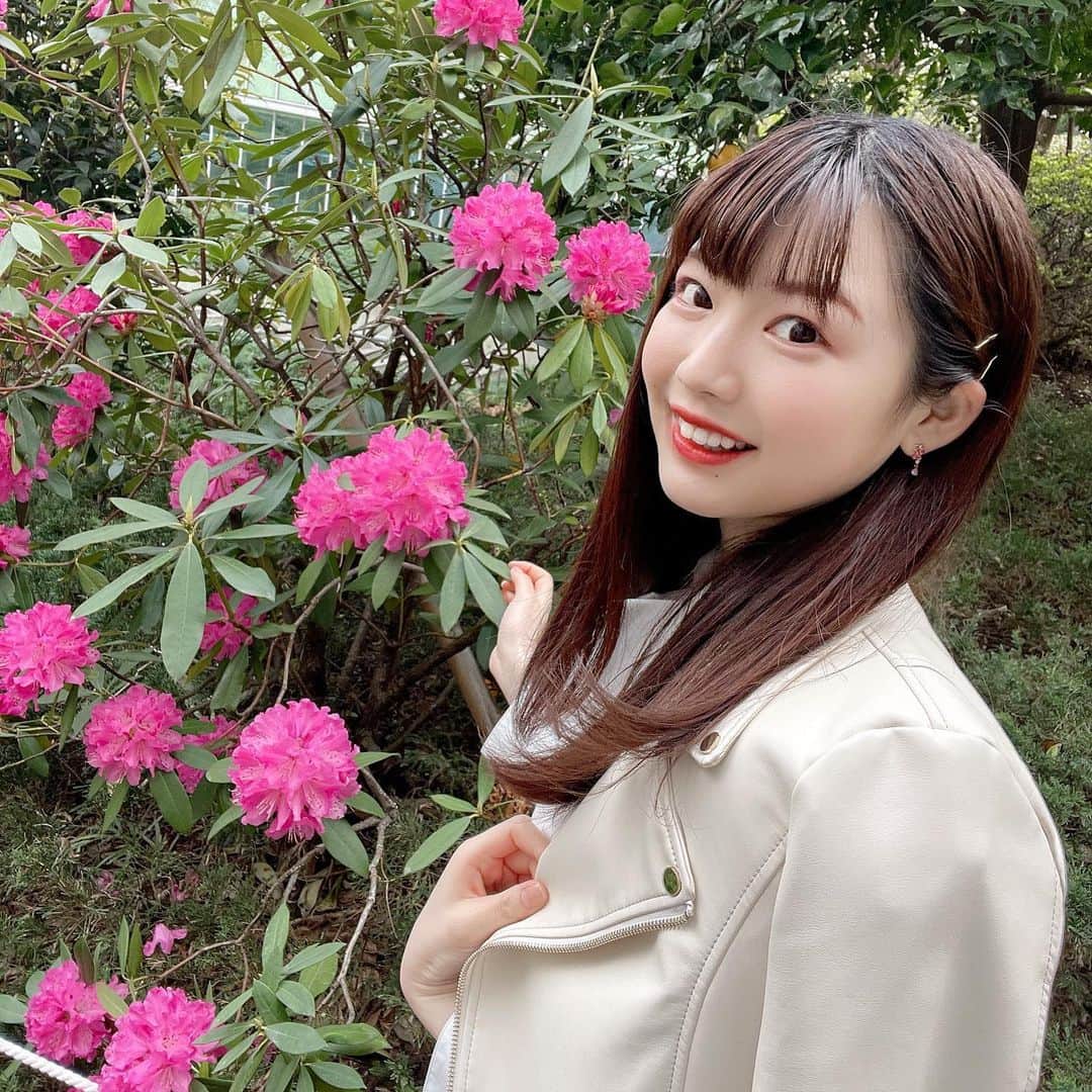 のインスタグラム：「ピンクのお花を発見💓 　  　みんなでピンク推そぉ💓  #アイドル　#iDOL #Spring #花　#Flower #Instagram #instagramjapan #photo #picture #Follow #girls」