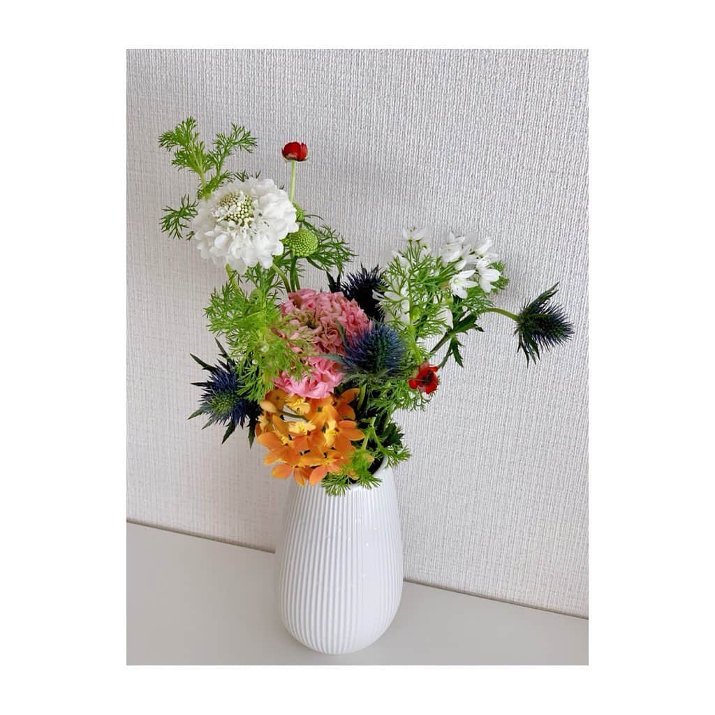 西尾菜々美さんのインスタグラム写真 - (西尾菜々美Instagram)「おはようございます☺️ 毎月、違うお花を飾っています🌷 今月は、明るい気持ちになるようなカラフル🌈 角度によって少し見え方が変わるような😮  今日も元気にがんばりましょう♪  #お花  #花のある暮らし」4月6日 7時49分 - nanami_nishio