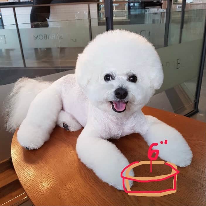 シン・セギョンのインスタグラム：「생일축하해 진국이❤️」