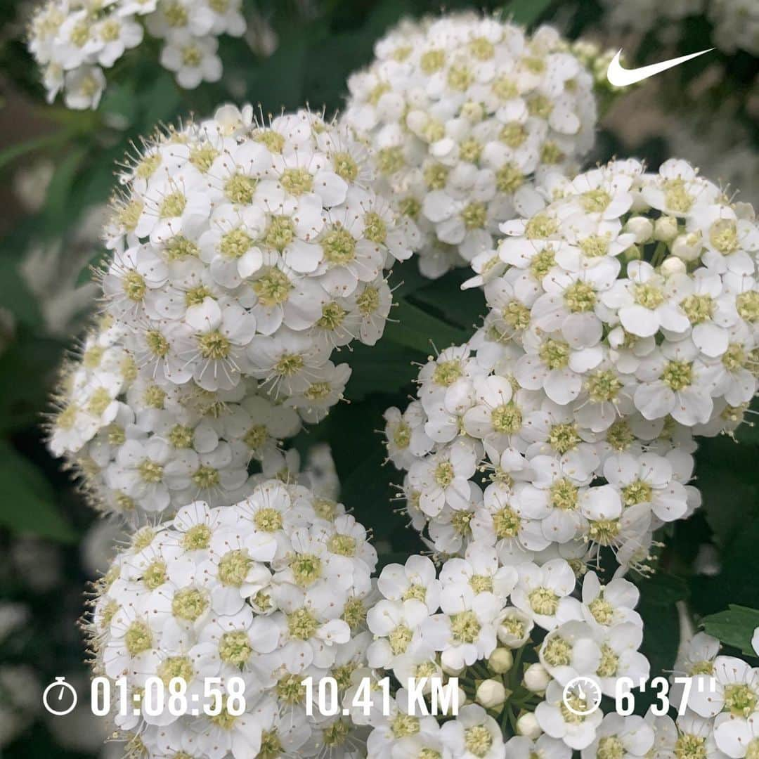 中村優さんのインスタグラム写真 - (中村優Instagram)「@iori_matsudaira とRUN🏃‍♀️✨🌿 友達と走ると10kmもあっという間だな〜。#run#running#優run」4月6日 16時10分 - nkmr_yu