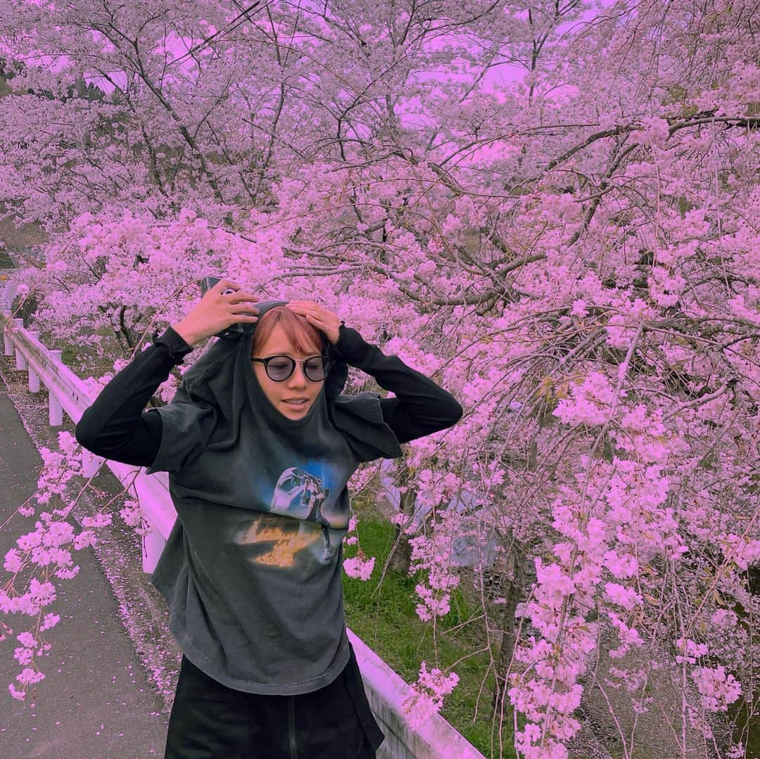 Aya（高本彩）さんのインスタグラム写真 - (Aya（高本彩）Instagram)「偶然大量の桜みれた🌸  #桜#かおなし#テンション高本」4月6日 17時48分 - aya_dream04